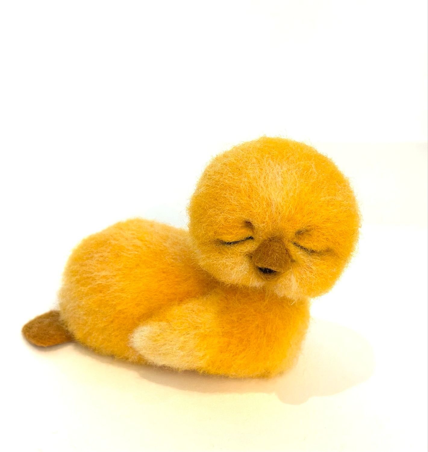 Nyklekket kylling🐣