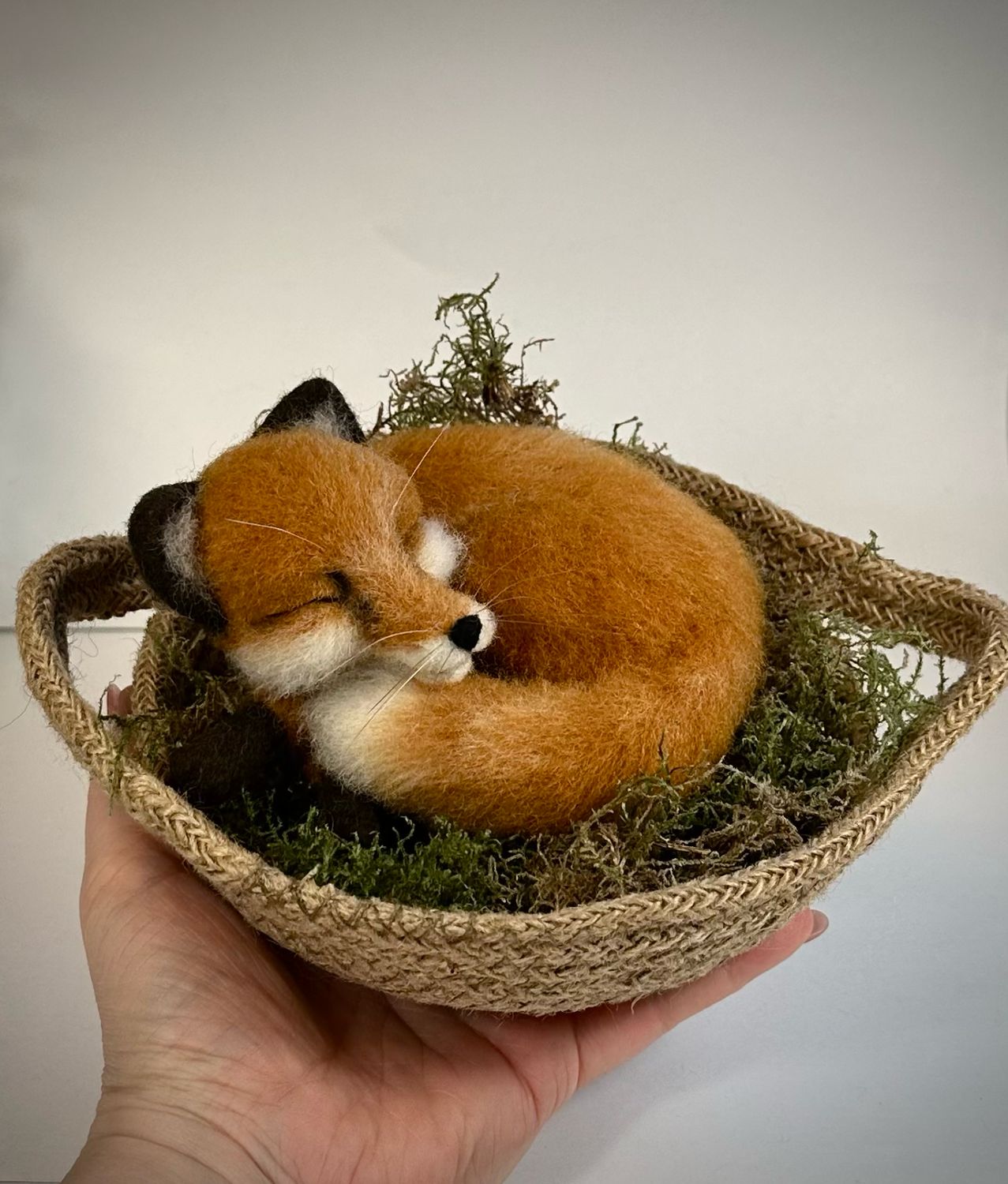 Sovende rev liggende i en kurv. 20x14cm