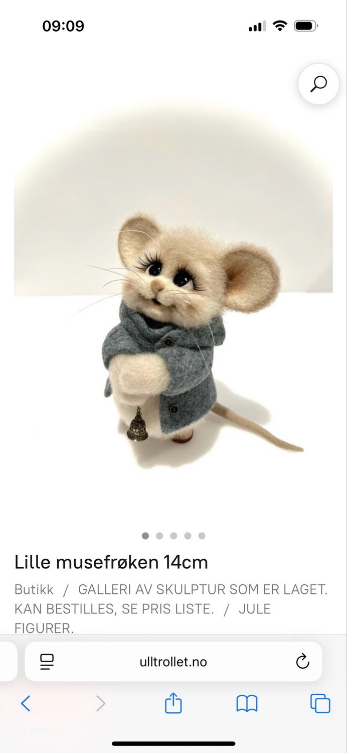 Bestilling, 30% forskuddsbetaling