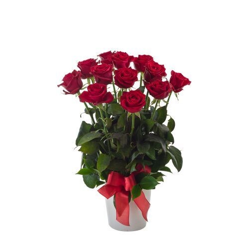 Roses bouquet