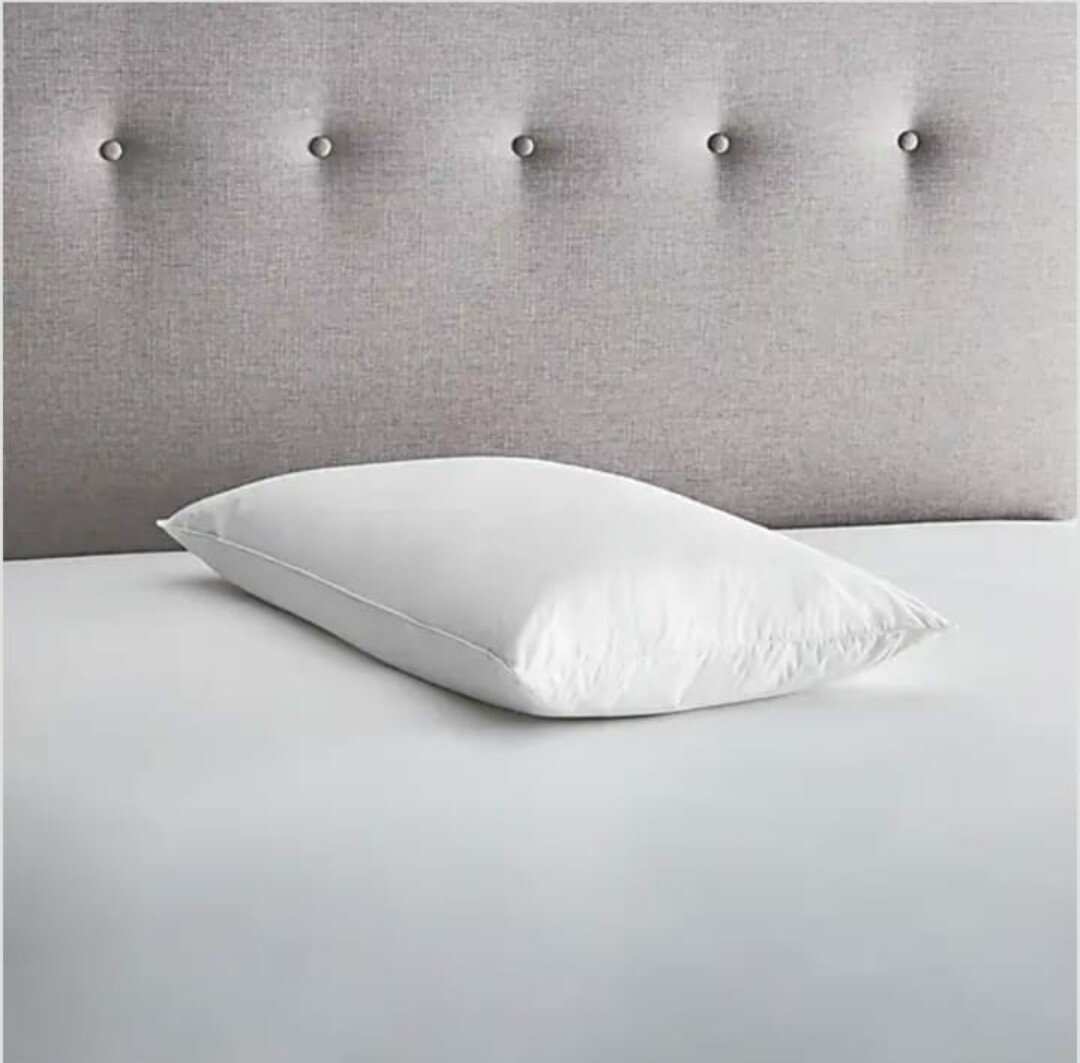 BAMBOO ALOE VERA Anti - Allergy  Memory Foam Pillow