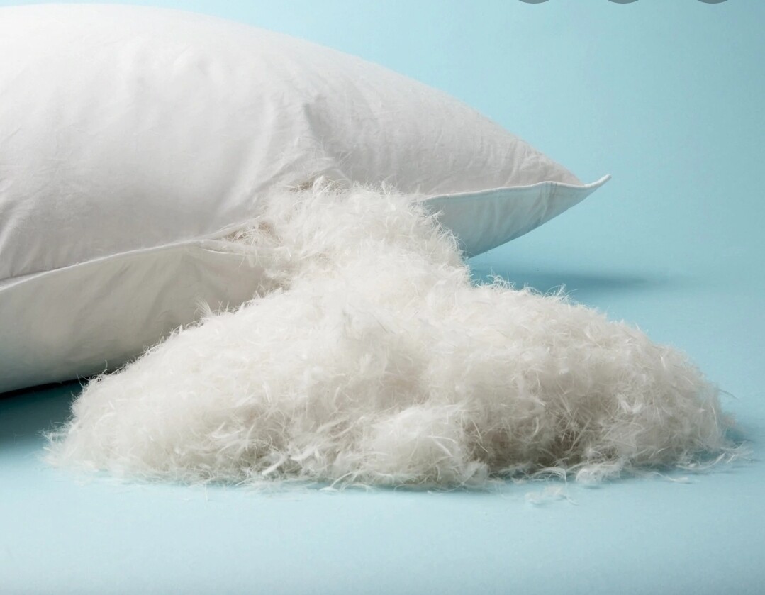 DUNHELM Canada Goose Duck Down Feather Pillows 2pk