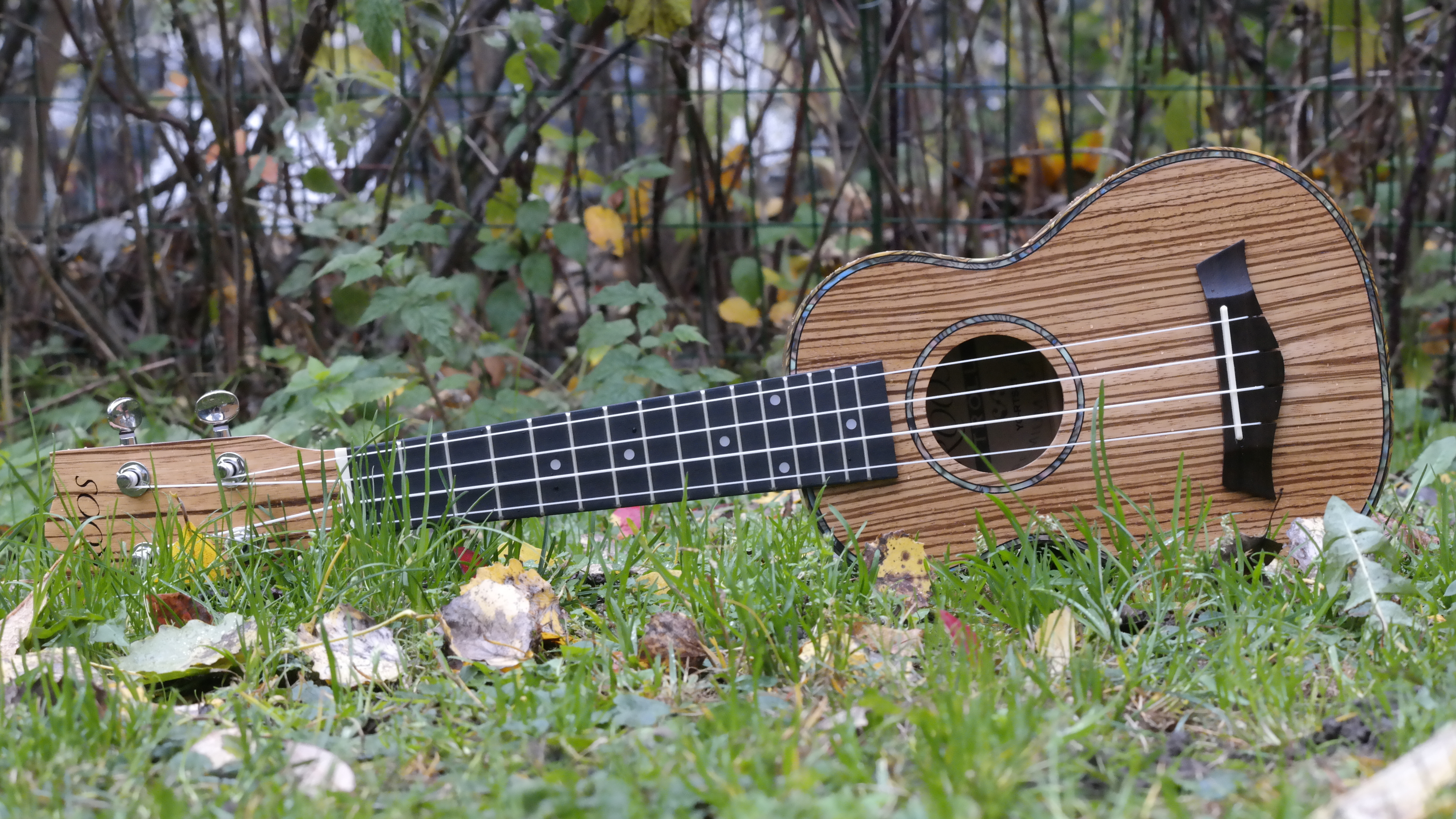 Roos Troll ukulele startpakke Roos Troll ukulele startpakke