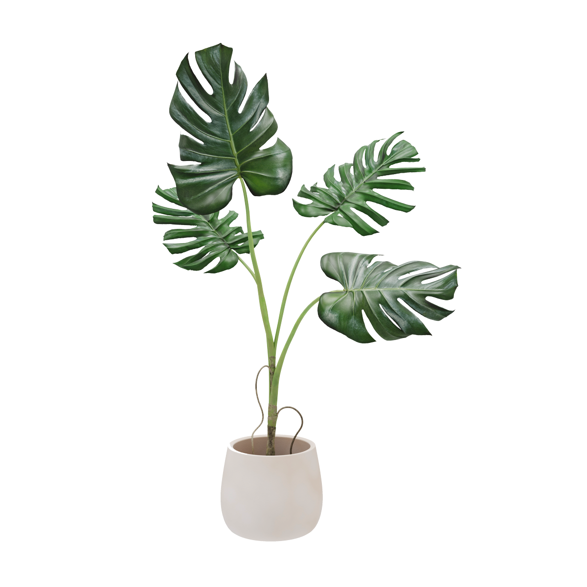 E-commerce Product Image