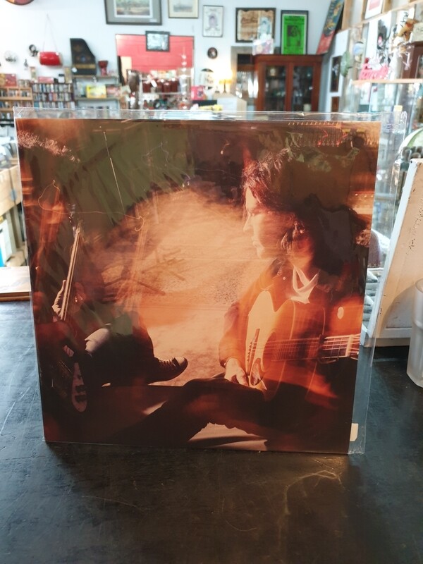 BERNARD FANNING BRUTAL DAWN LP "NEW"