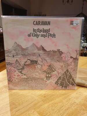 CARAVAN IN THE LAND OF GREY AND PINK