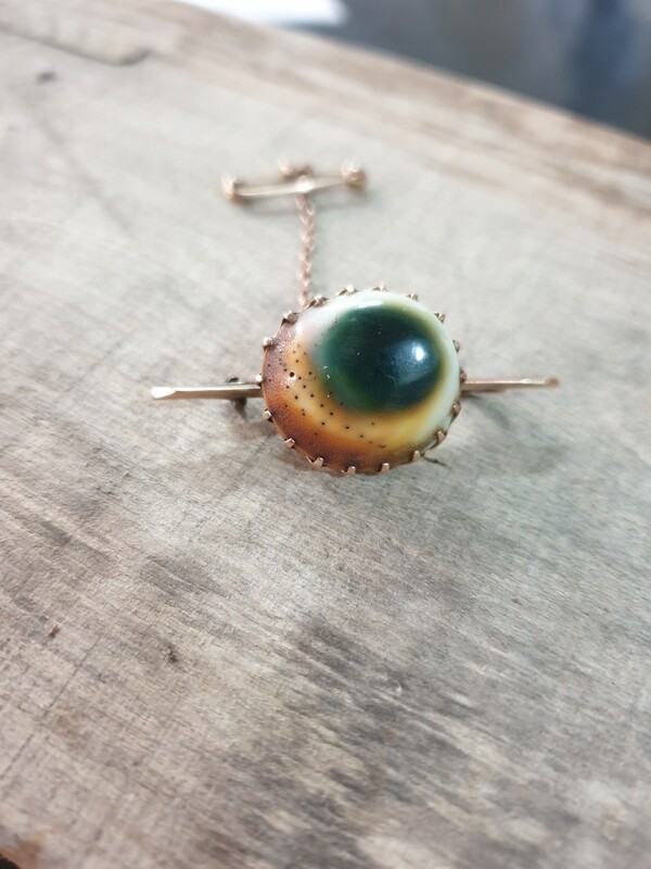 9CT GOLD OPERCULUM SHELL BAR BROOCH AND CHAIN