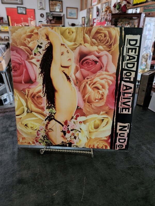 DEAD OR ALIVE  NUDE