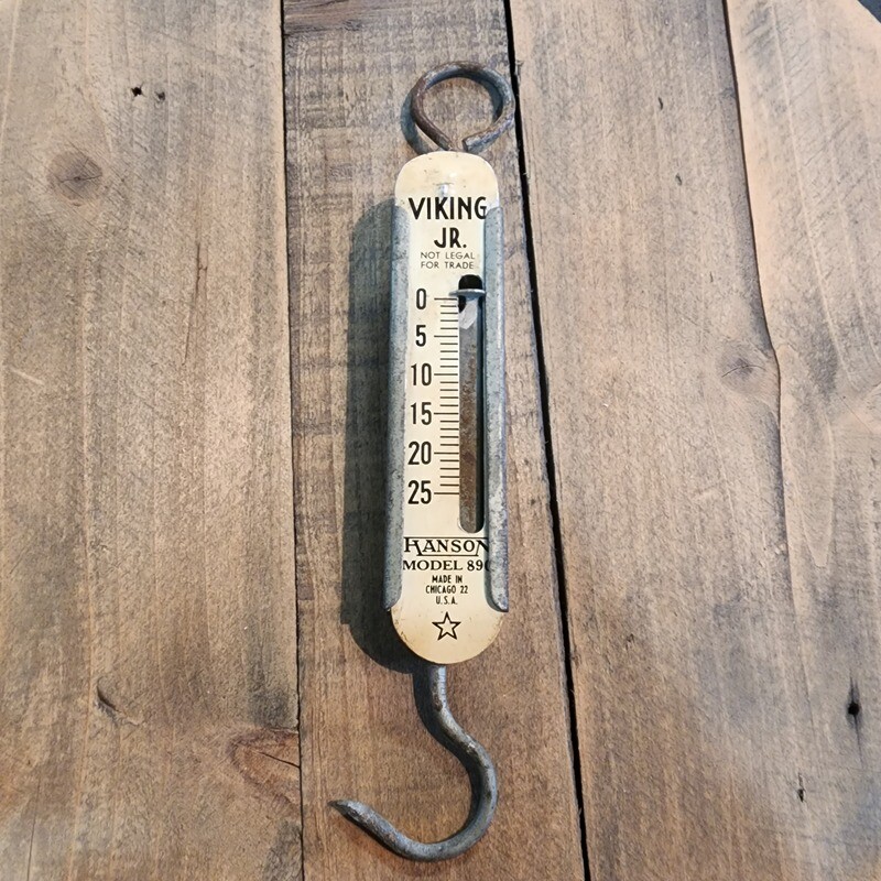 VIKING JR SCALES
