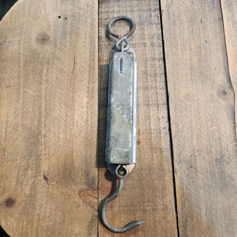 VIKING JR SCALES