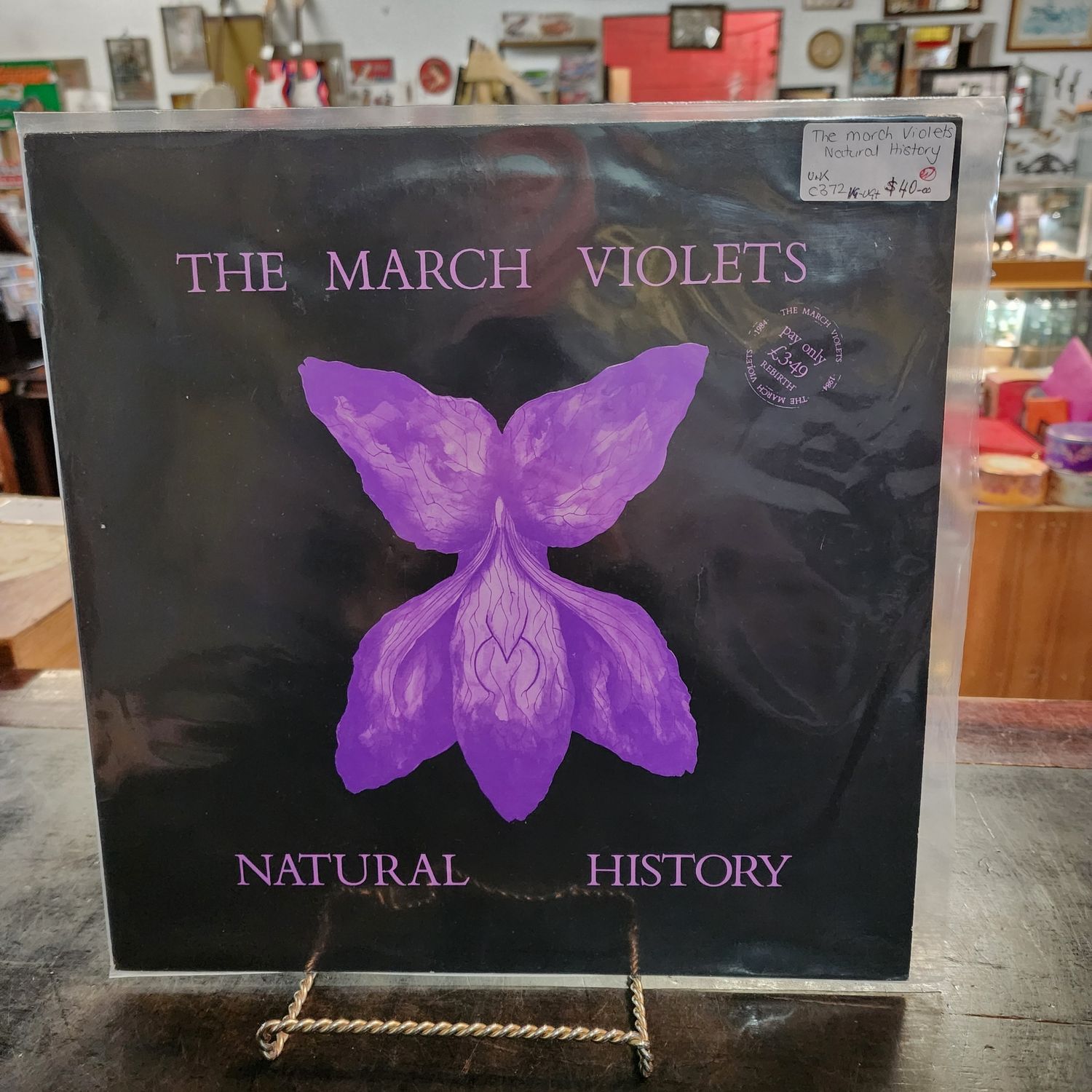 THE MARCH VIOLETS NATURAL HISTORY THE MARCH VIOLETS NATURAL HISTORY
