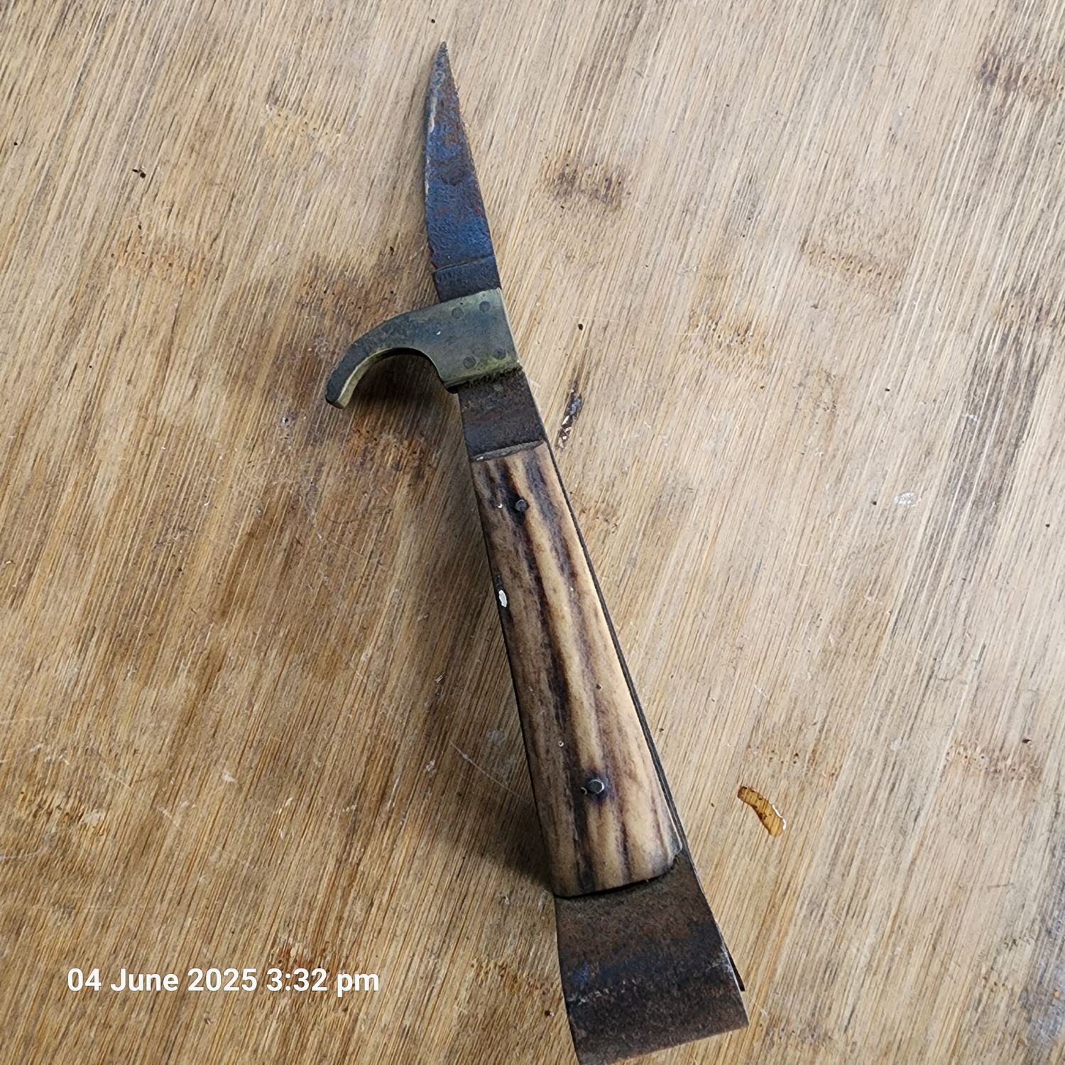 Vintage Sheep castrating tool Harrison bros