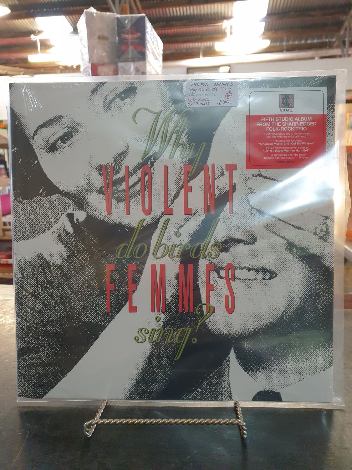 VIOLENT FEMMES WHY DO BIRDS SING LTD EDITION NEW VINYL VIOLENT FEMMES WHY DO BIRDS SING LTD EDITION NEW VINYL