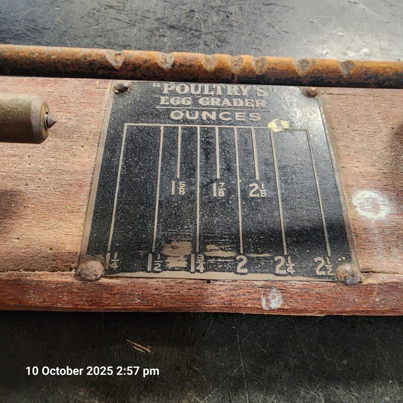 POULTRY'S EGG GRADER ANTIQUE