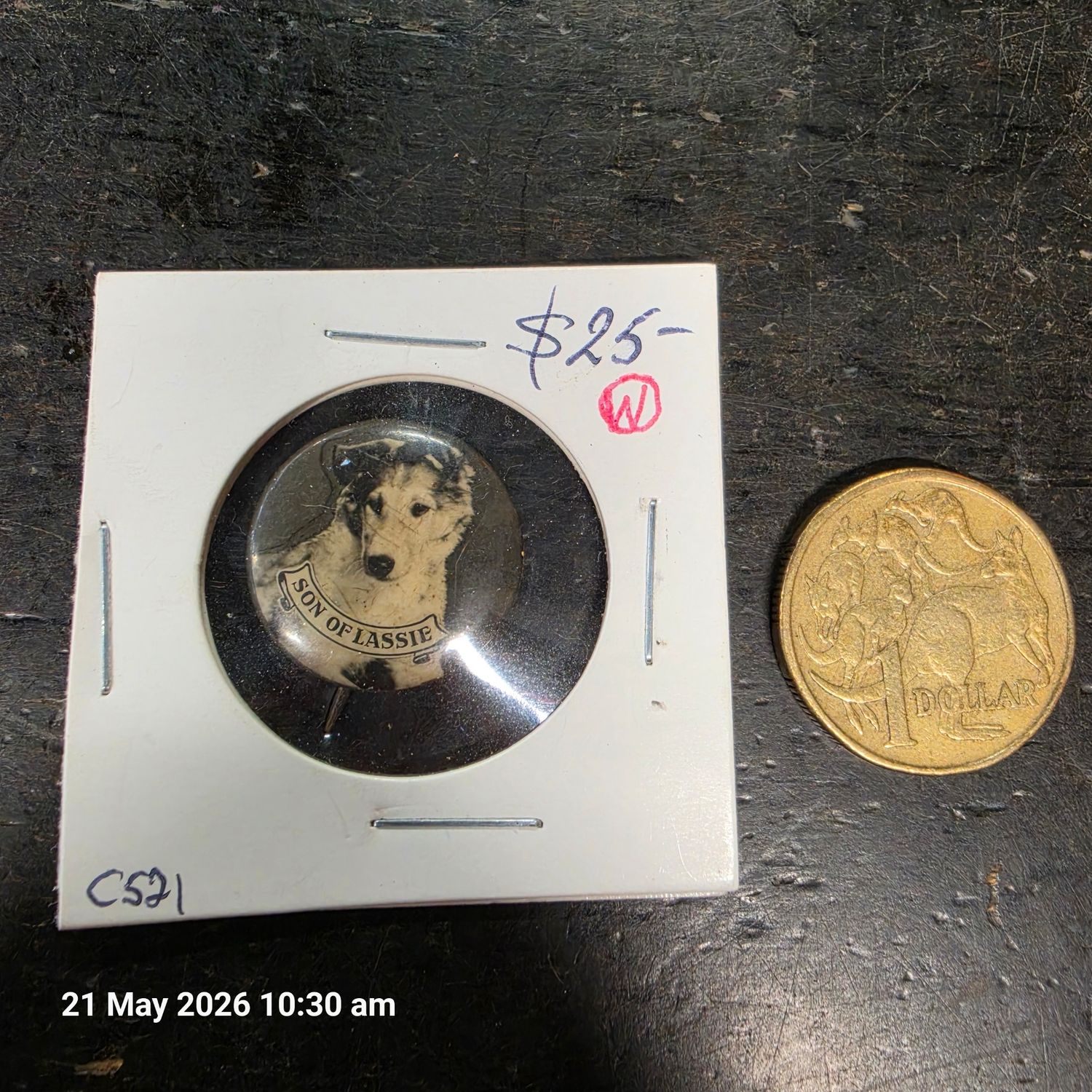 Vintage Son Of Lassie pin back badge