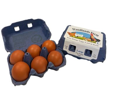 Free Range Eggs (Large) x 6