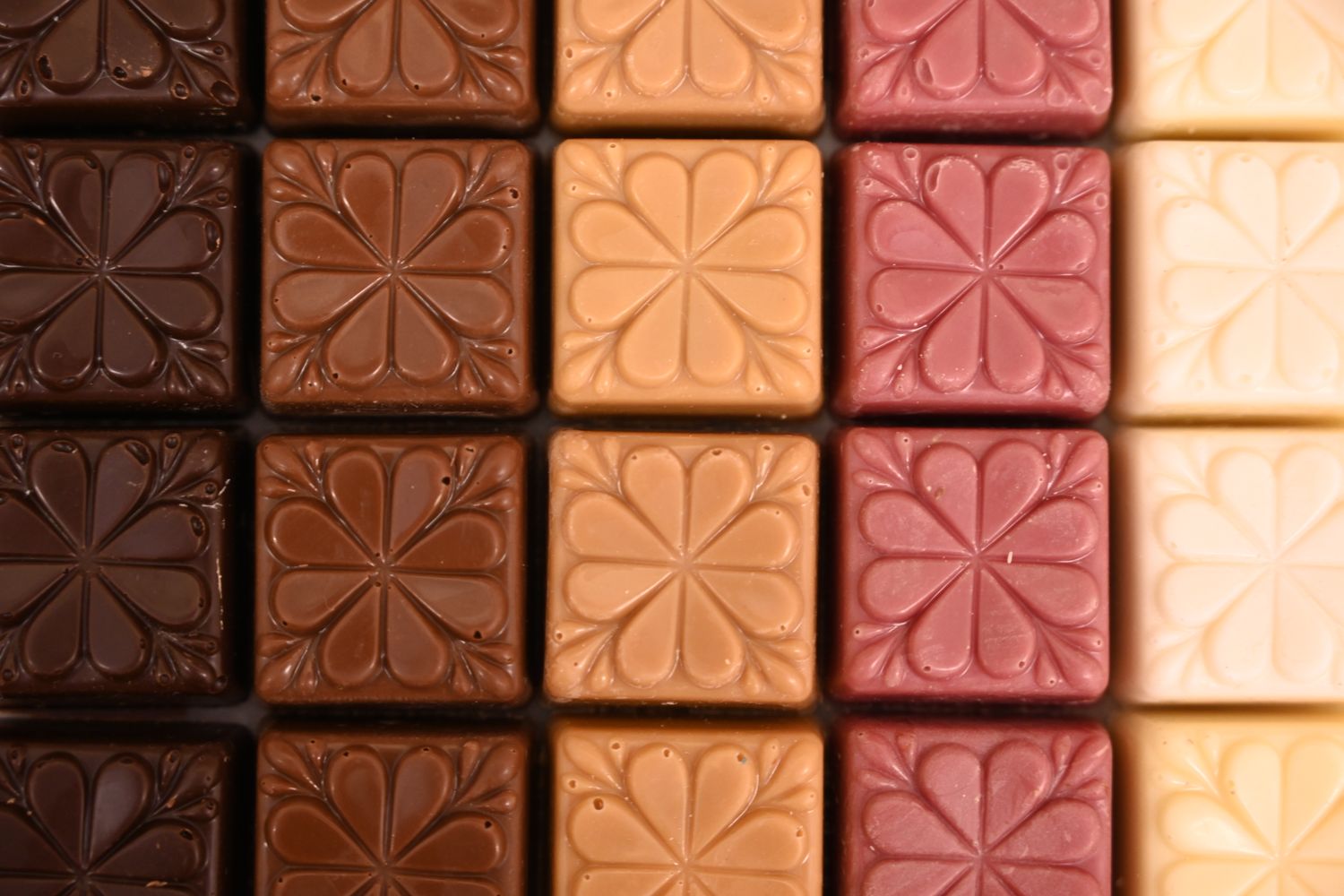 Solid Chocolate Squares