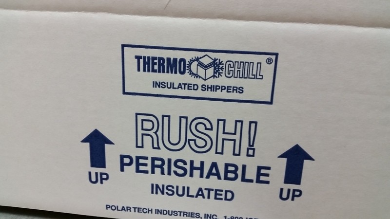 Insulated Containers Insulated Containers