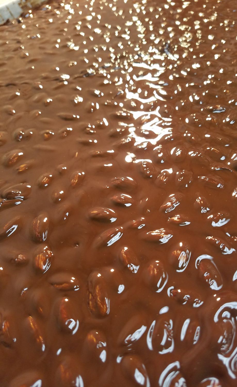 Almond Nut Bark