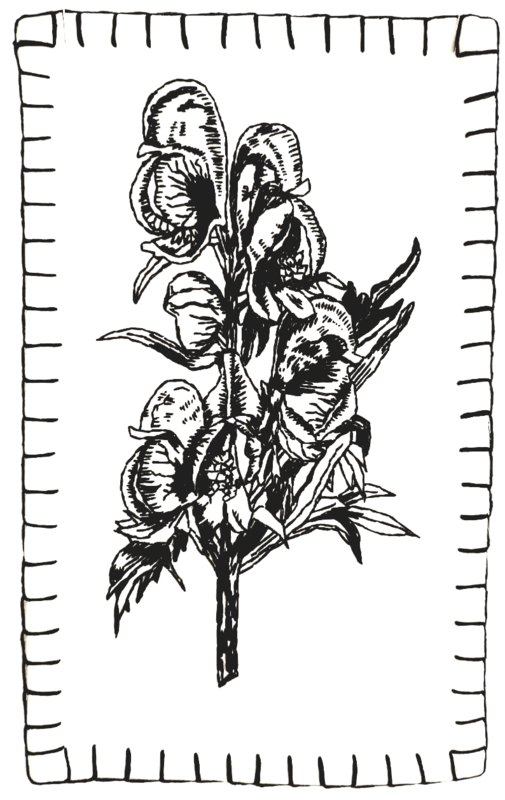 Eisenhut Wandbild