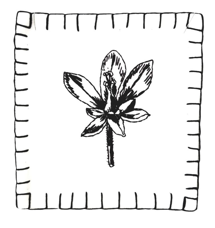 „Reiherschnabel“  Wandbild