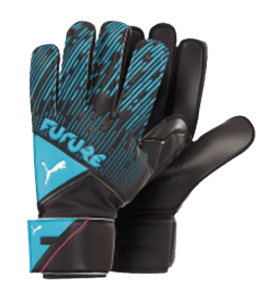 Puma Future GK Gloves