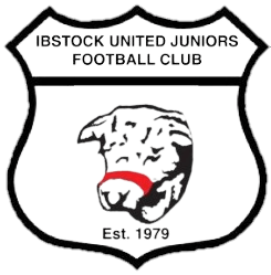 Ibstock United FC