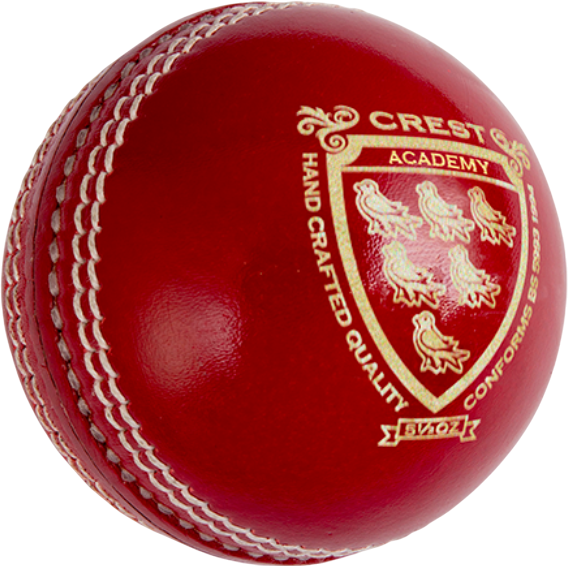Gray Nicolls Crest Academy Match Cricket Ball