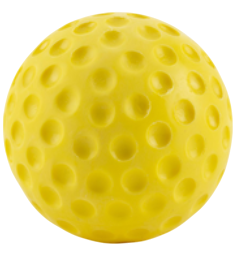 Gray Nicolls Bowling Machine Ball