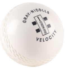 Gray Nicolls Velocity Cricket Ball