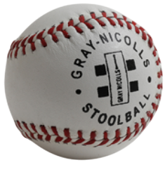 Gray Nicolls Stoolball