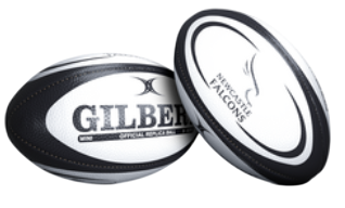 Newcastle Falcons Rugby Replica Ball (25 Pack)