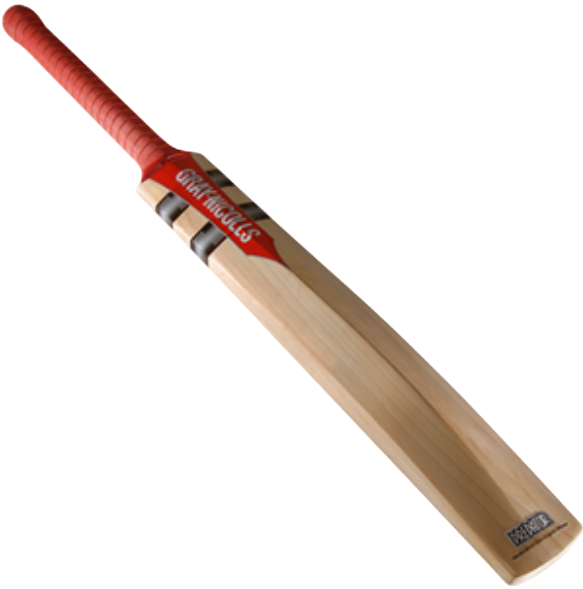 Gray Nicolls Cricket Technique Training Bat