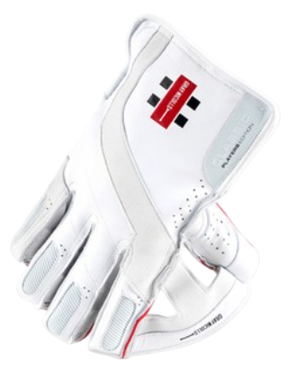 Gray Nicolls Cricket Players Edition Wicketkeeping Gloves