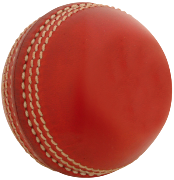 Gray Nicolls Cricket Mini Ball