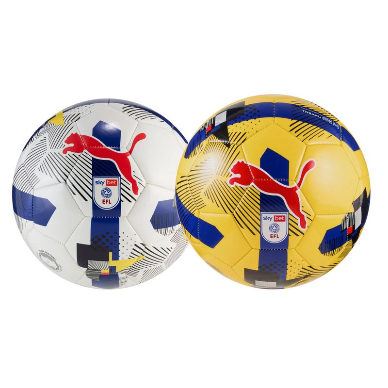 Puma Orbita 6 EFL Sky Bet Training Football 25/26