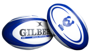 Bristol Bears Rugby Replica Mini Ball