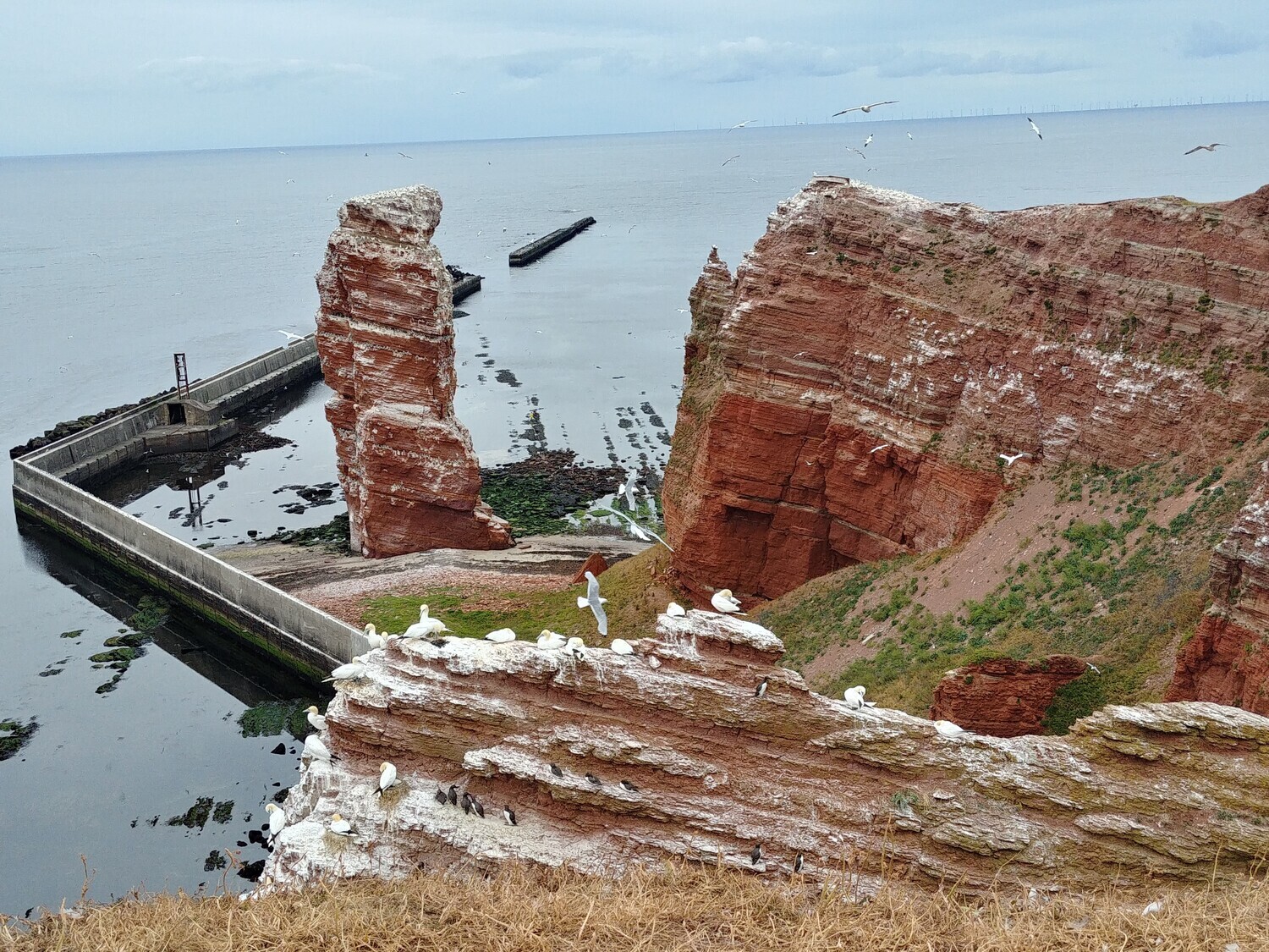 Tagesreise HELGOLAND (19.07.2025)