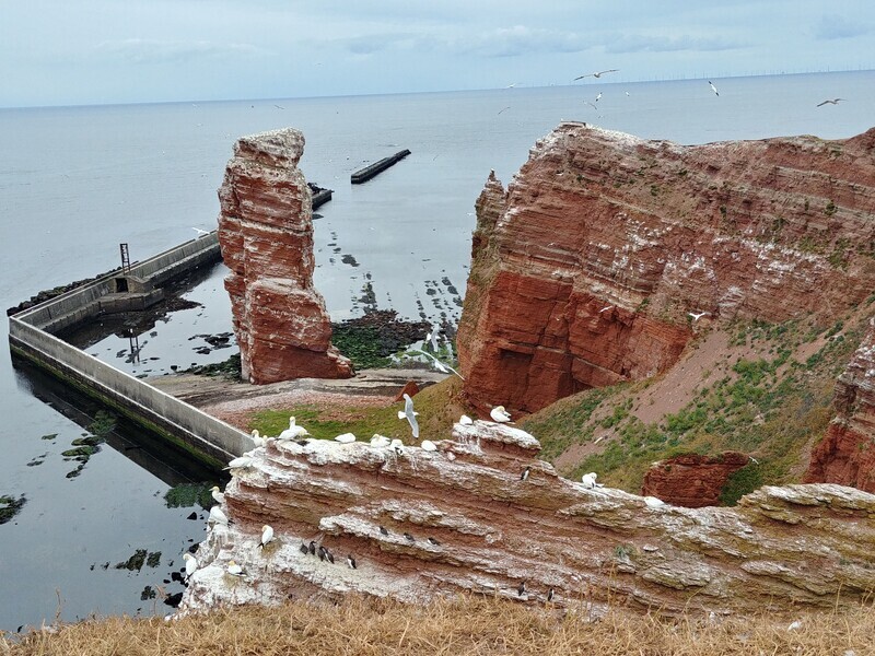 Tagesreise HELGOLAND (19.07.2025)
