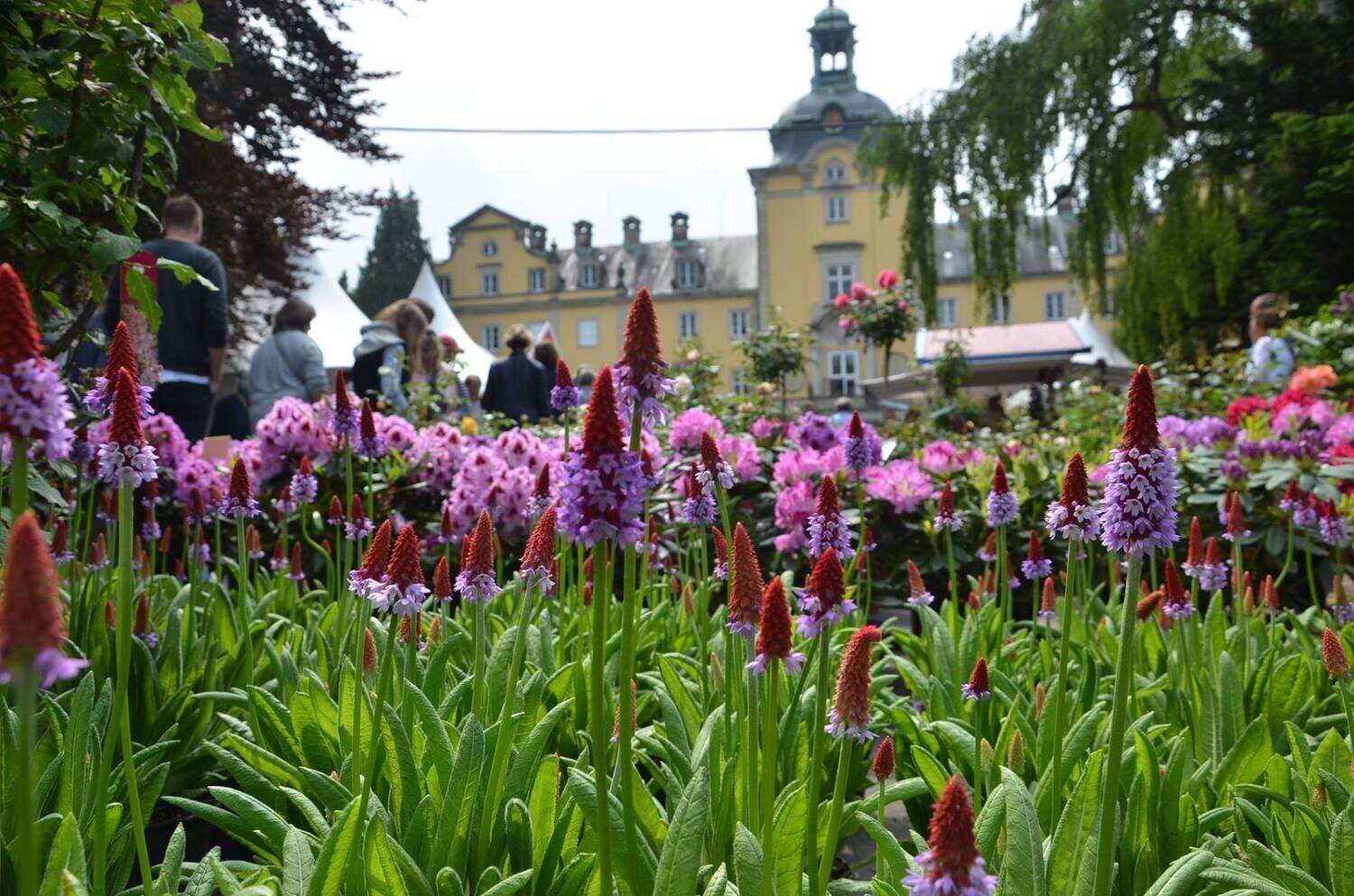 Tagesreise Landpartie SCHLOSS BÜCKEBURG (21.06.2025)