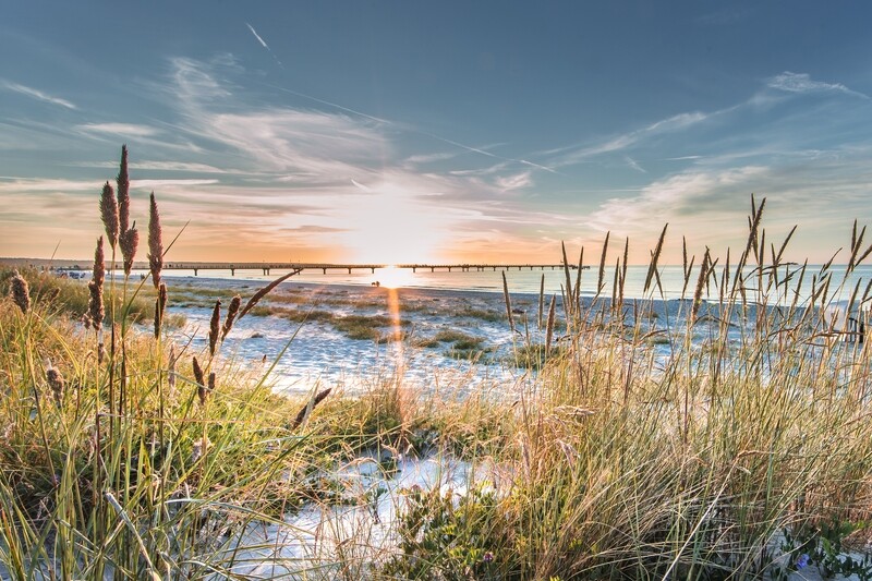 Tagesreise BORKUM (09.07.2025)