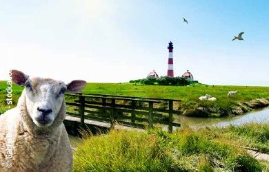 3 Tage Grünkohl, Shanty&#39;s und Havenwelten (27.02.-01.03.2026)