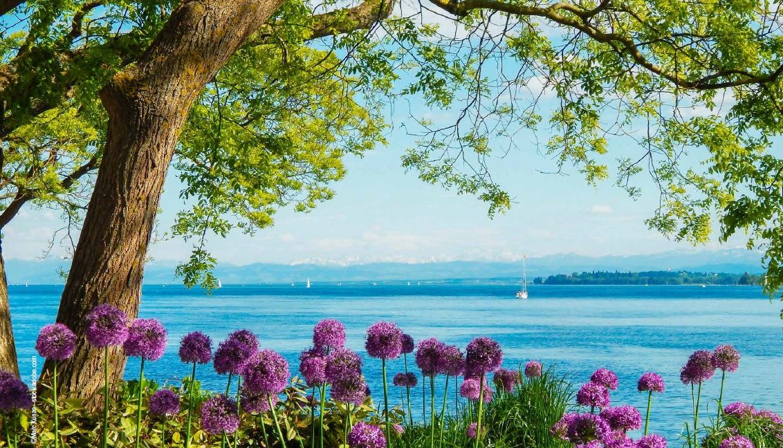 7 Tage BODENSEE (19.07.-25.07.2026)