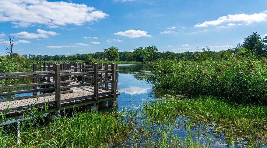 6 Tage SPREE-RADWEG Teil 1 (16.08.-21.08.2026)