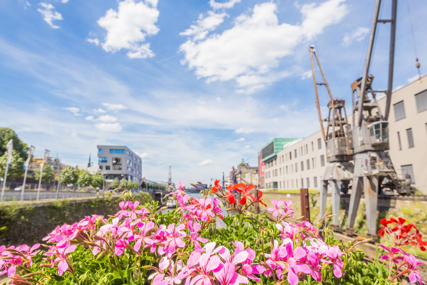 Landesgartenschau in NEUSS (12.08.2026)