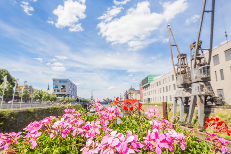 Landesgartenschau in NEUSS (12.08.2026)