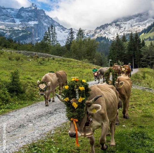 7 Tage St. Leonhard im Pitztal (10.09.-16.09.2026)