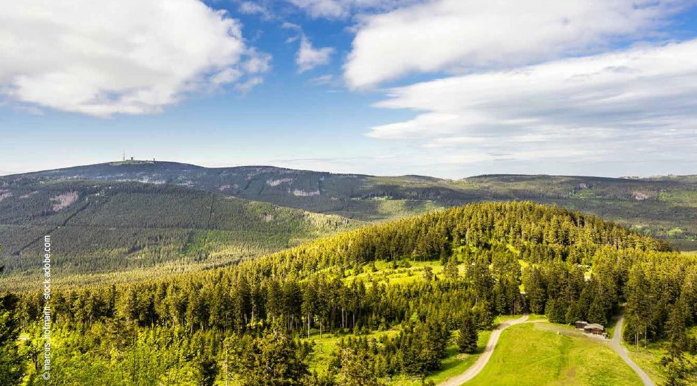 3 Tage HARZ erleben (14.08.-16.08.2026)