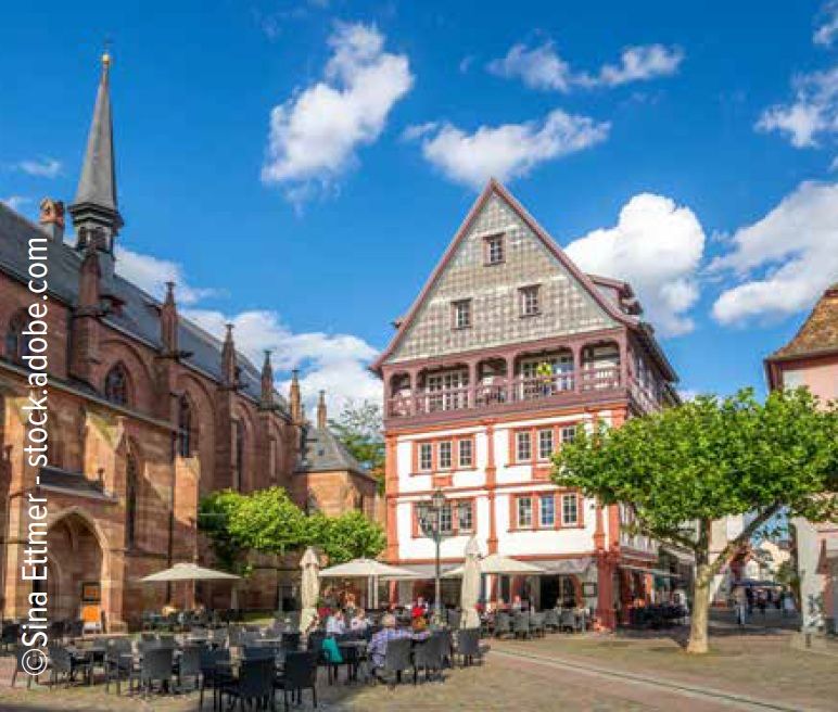 3 Tage DEUTSCHE WEINSTRAßE (23.10.-25.10.2026)