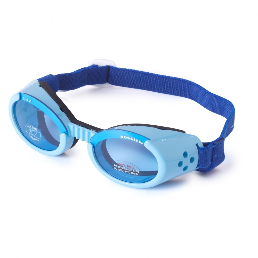 DOGGLES - MEDIUM DGILMD-04 SHINY BLUE / BLUE LENS DOGGLES - MEDIUM DGILMD-04 SHINY BLUE / BLUE LENS